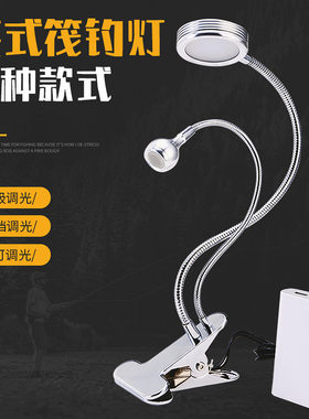 筏钓灯钓鱼灯夜钓灯led双头竿稍灯黄光诱鱼灯拉饵灯夹式台灯渔具