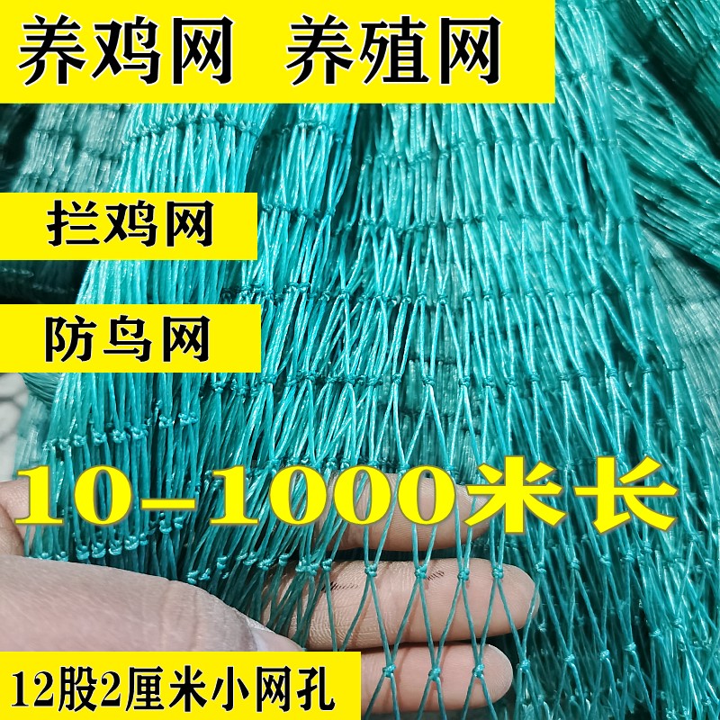 养殖网养鸡网尼龙网拦鸡网围鸡网家禽塑料网护栏网菜园围网防护网