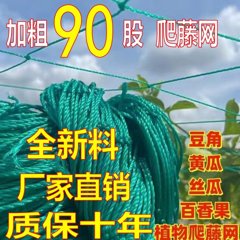 90股植物爬藤网瓜果丝瓜葡萄爬藤