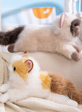 仿真卡通可爱布偶猫暹罗猫发声毛绒公仔玩偶装饰摆件娃娃创意礼物