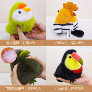 仿真爱鸟系列鸟玩偶可爱鹦鹉摆件儿童毛绒玩具公仔掌中宝礼物