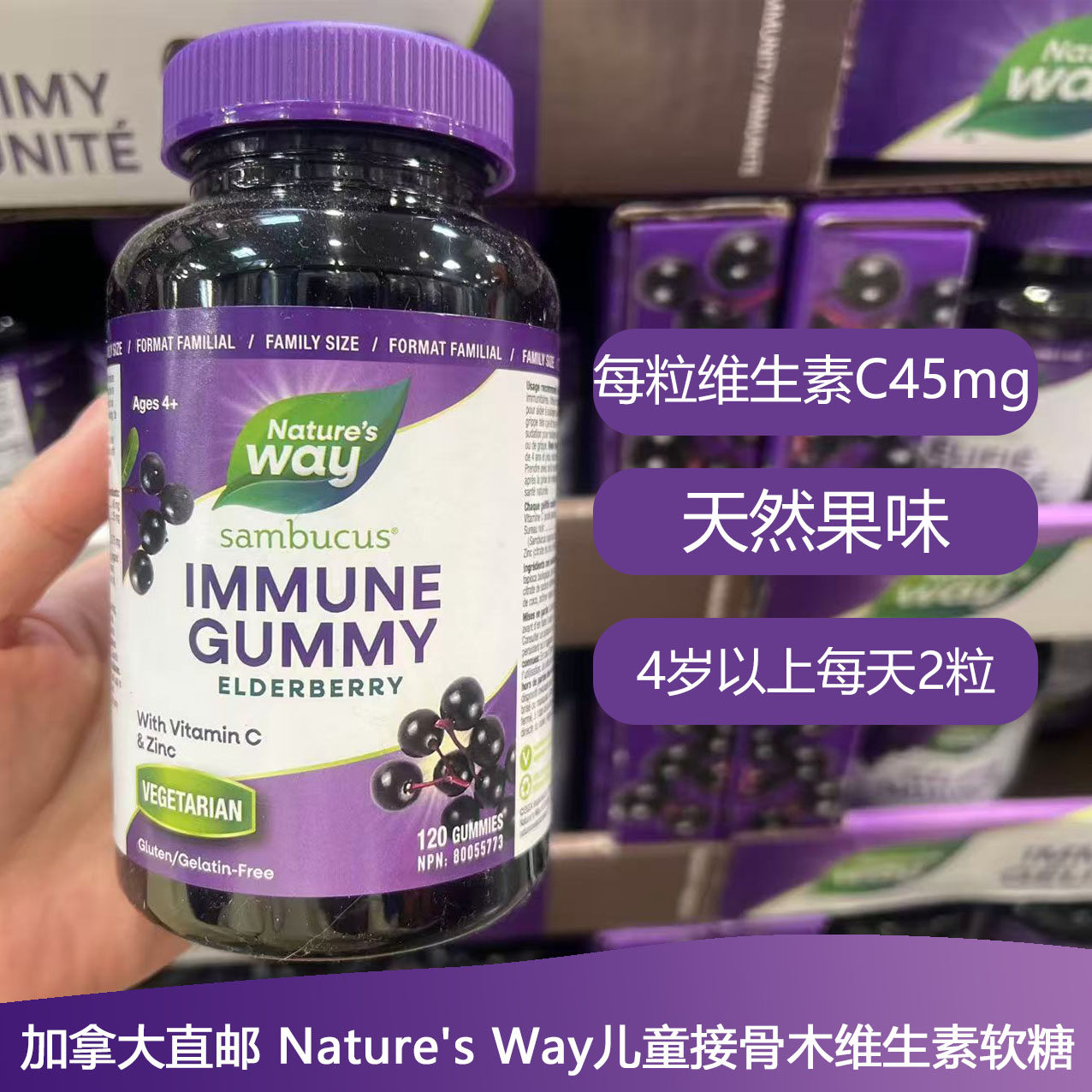 加拿大Nature's Way儿童接骨木维生素软糖120粒水果口味含维C+锌