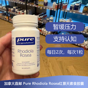 加拿大Pure Rhodiola Rosea红景天素食胶囊90粒缓解精神压力疲劳