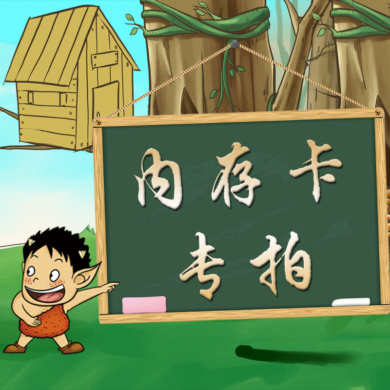 行车记录仪内存卡，需和记录仪一起下单单独购买不发货