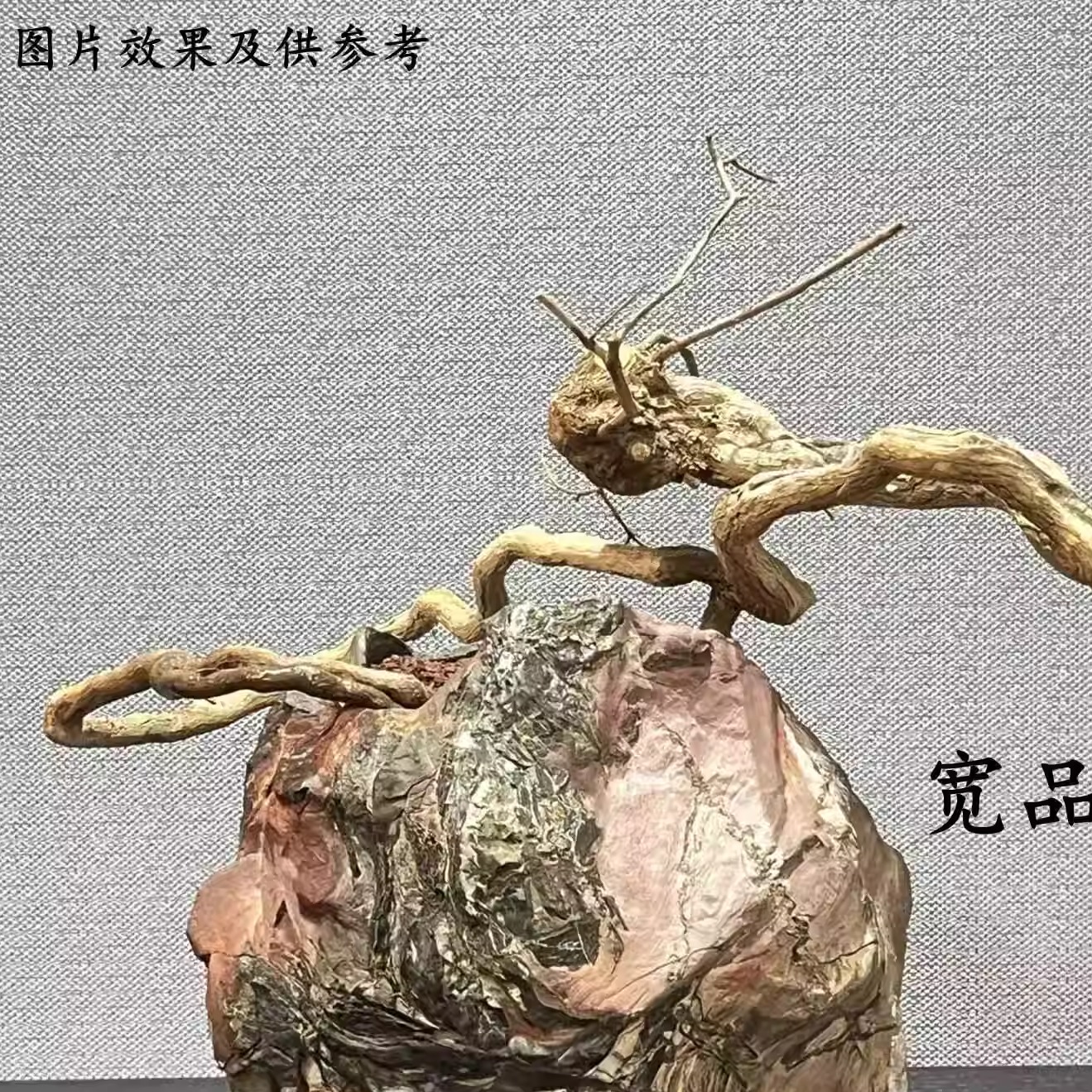 东北崖荆根艺盆景素材定制（2）