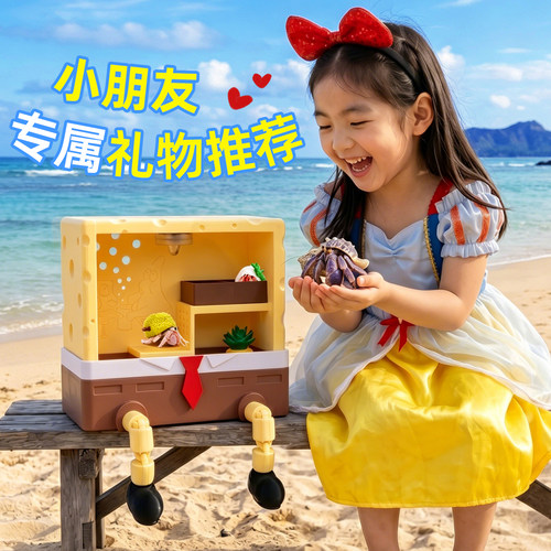 寄居蟹 3d打印 新手饲养套餐～新手饲养套装盒 六一儿童礼物