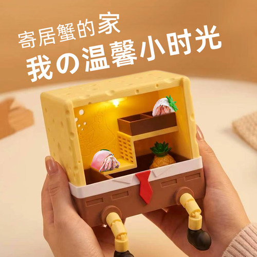 寄居蟹新手饲养套餐～