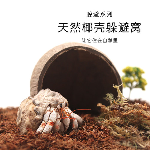 寄居蟹椰壳躲避窝大号小号多款