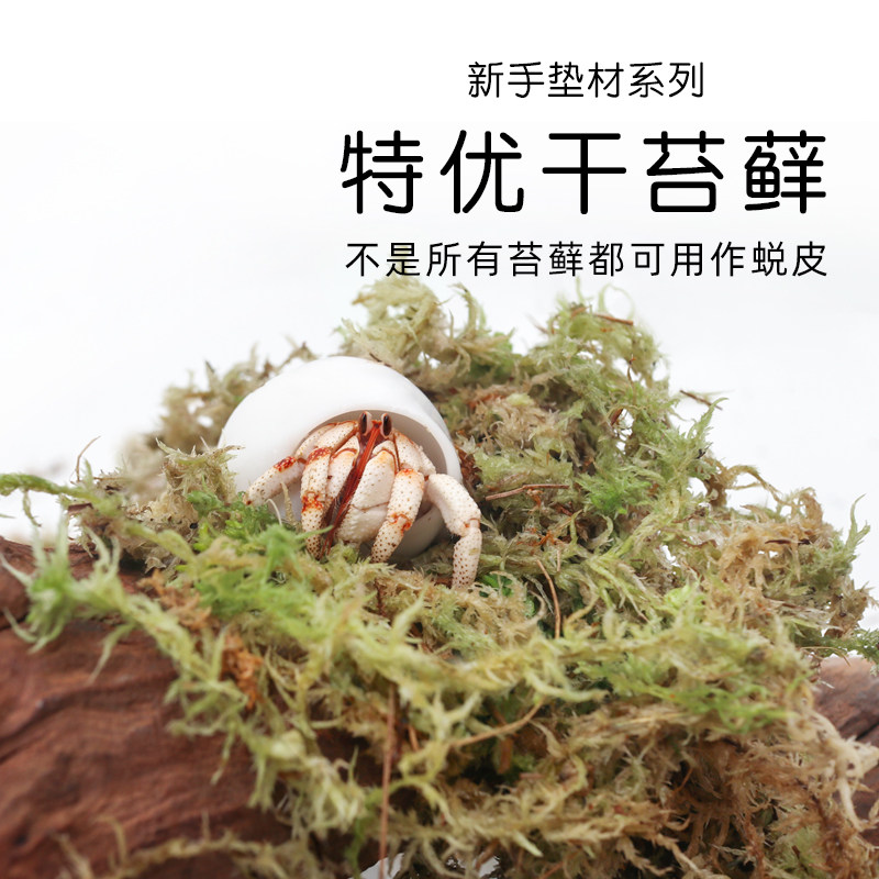 寄居蟹垫材垫料特优干苔藓可蜕皮图片