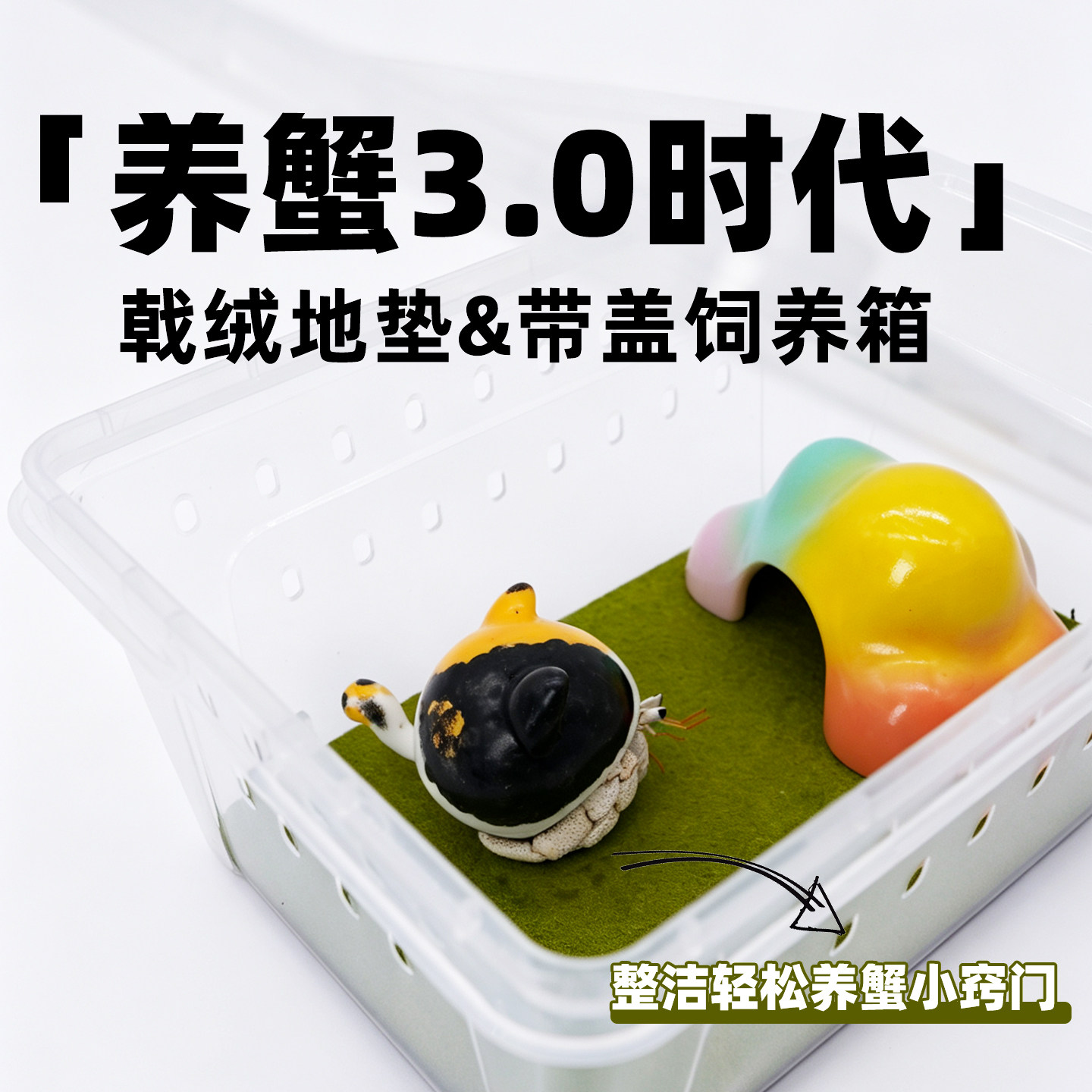 寄居蟹饲养3.0新型饲养套餐～【饲养盒+戟绒地垫】多尺寸多色可选