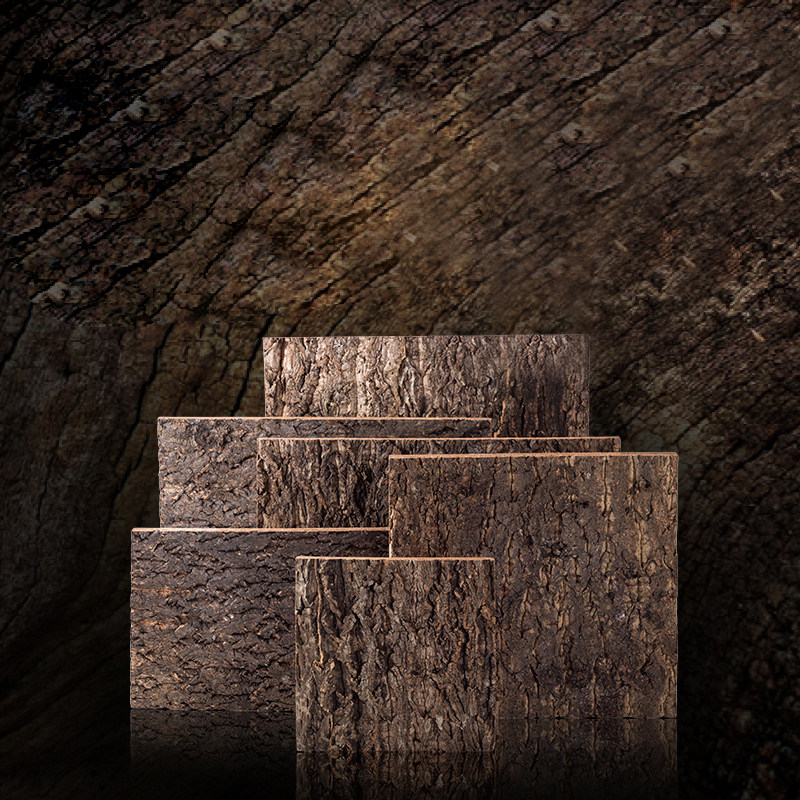 reptizoo寄居蟹造景缸背景墙板树皮树脂可裁剪热带雨林多橡树皮