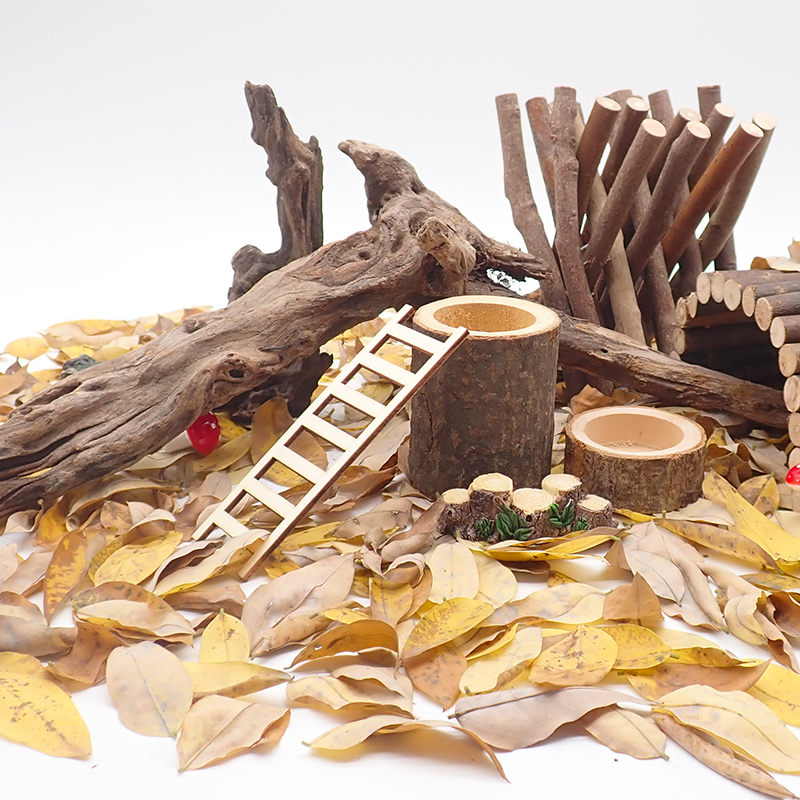 寄居蟹杜鹃根沉木过江龙攀爬躲避