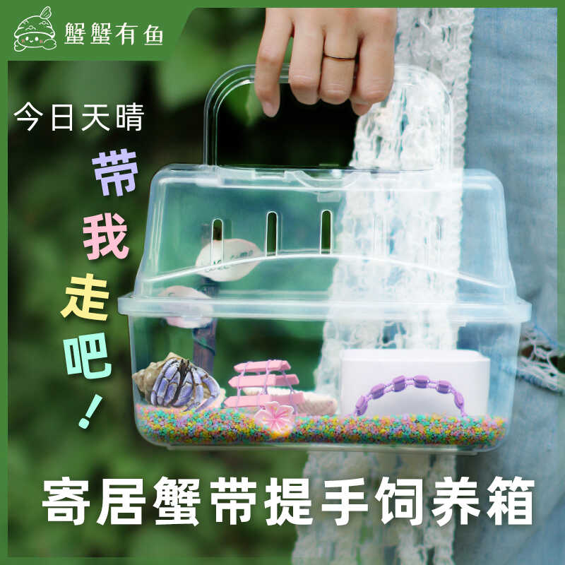 寄居蟹带提手饲养箱套餐外带箱