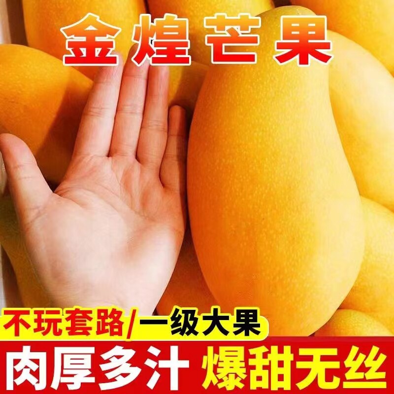 广西芒果水果新鲜芒果水果