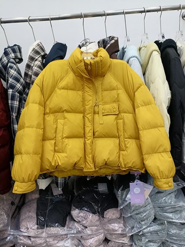 2025冬欧韩休闲白鸭绒羽绒服女立领简约宽松小个子保暖短外套潮