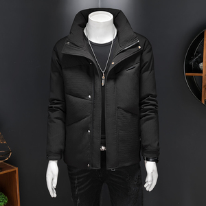 2024冬装新品男士白鸭绒羽绒服 D260-9881P215图片