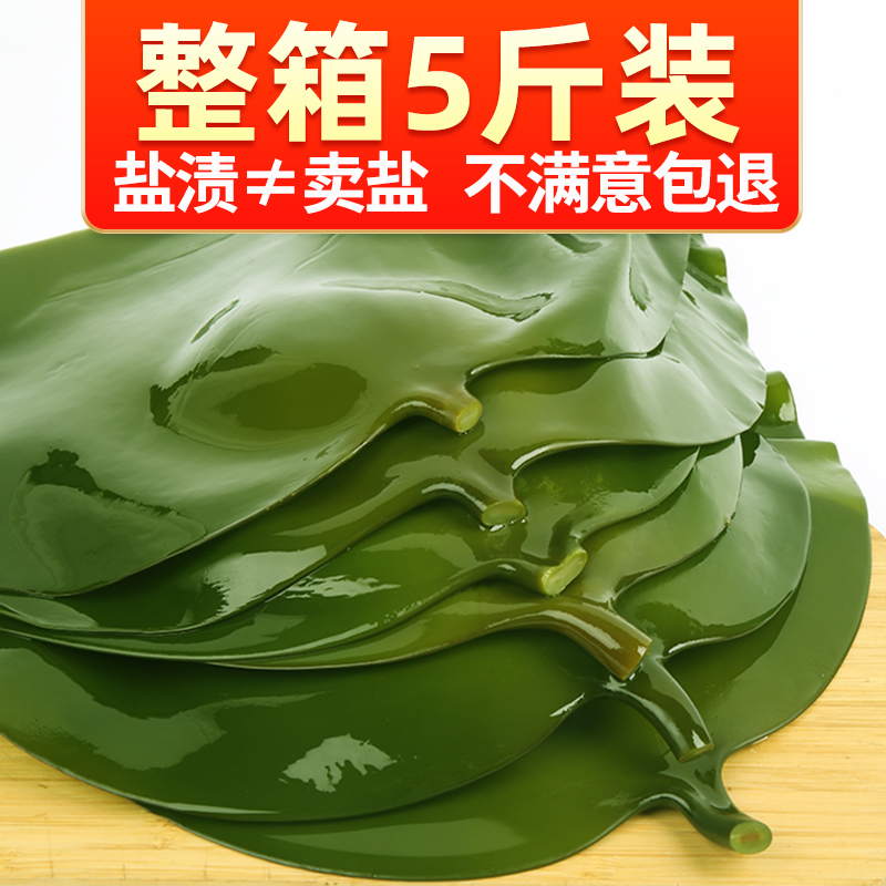 新鲜海带头厚海带整箱