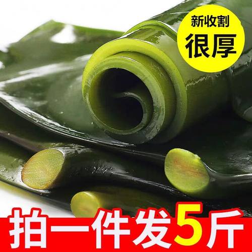 海带头新鲜5斤盐渍厚海白菜嫩