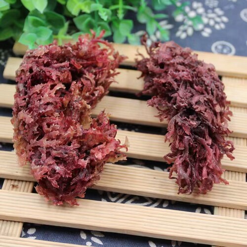 红石花菜干货海石花海藻