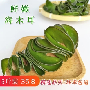商用新鲜海木耳海灵芝 5斤整箱盐渍海藻海白菜裙带菜耳朵荣成海带