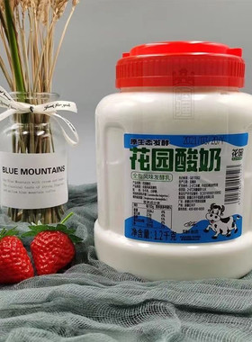 2桶装酸奶原生态发酵酸奶无添加酸奶新疆酸奶1.2KG花园大桶酸奶