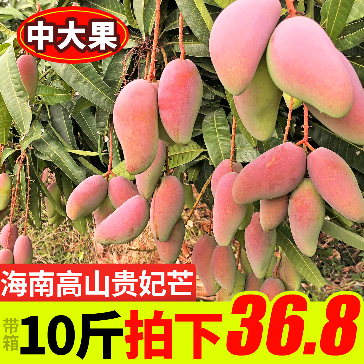 带你看骨科