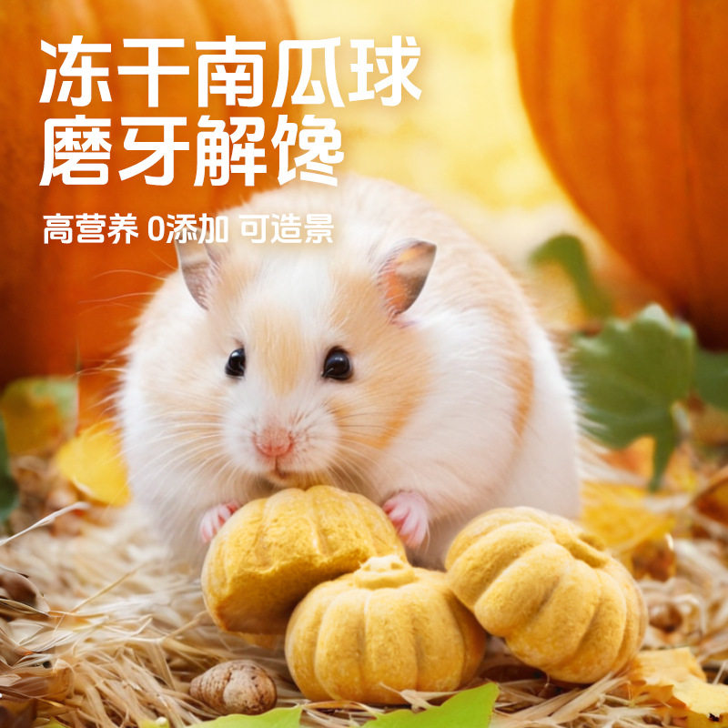 宠尚天冻干金贝南瓜磨牙仓鼠粮