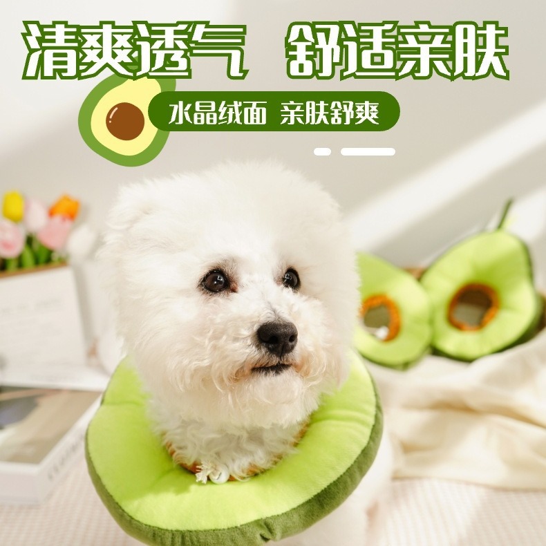 伊丽莎白圈绝育项圈防舔抓咬脖项圈猫狗通用猫咪脖圈头套宠物用品
