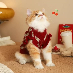 猫咪衣服冬装布偶渐层可爱猫猫狗狗衣服秋冬款保暖不掉毛宠物毛衣
