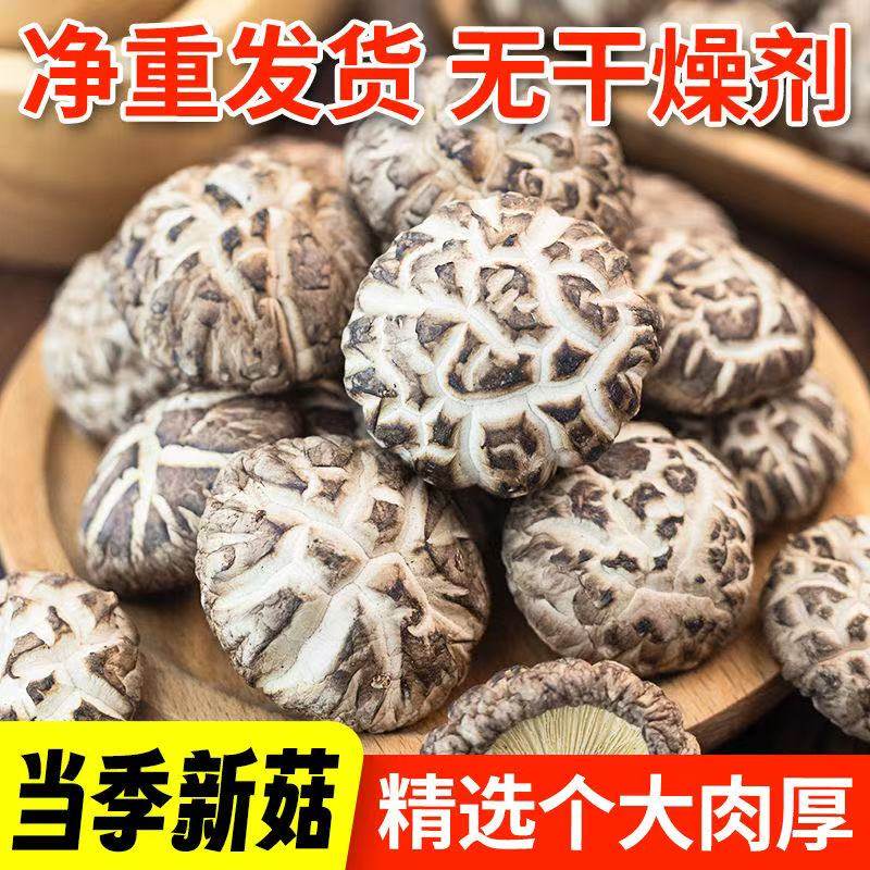 菌裕香菇花菇优选新鲜非特级干货