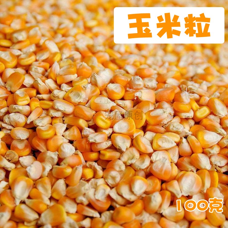 松鼠粮食魔王雪地黄山金花等适用