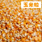 龙猫松鼠飞鼠仓鼠粮食干玉米粒兔子粮食零食磨牙食物主粮粗粮100g