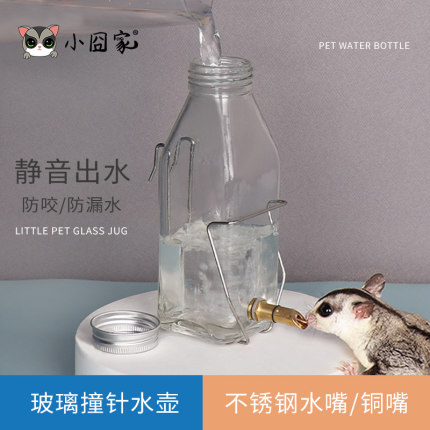 鹦鹉龙猫撞针水壶大号静音玻璃喝水器松鼠刺猬狐獴饮水器飞宝snow