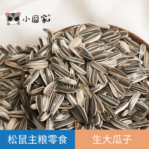 松鼠饲料生瓜子仓鼠花枝鼠粮食