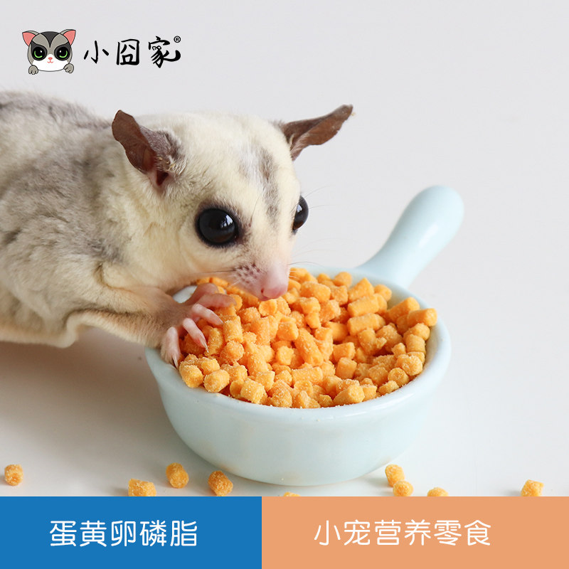 蜜袋鼯松鼠花枝仓鼠黑尾刺猬零食营养美味蛋黄卵磷脂颗粒5g仓鼠,宠物/宠物食品及用品,玩具/造景装饰,淘宝优惠券,粉丝福利购,淘宝优惠卷