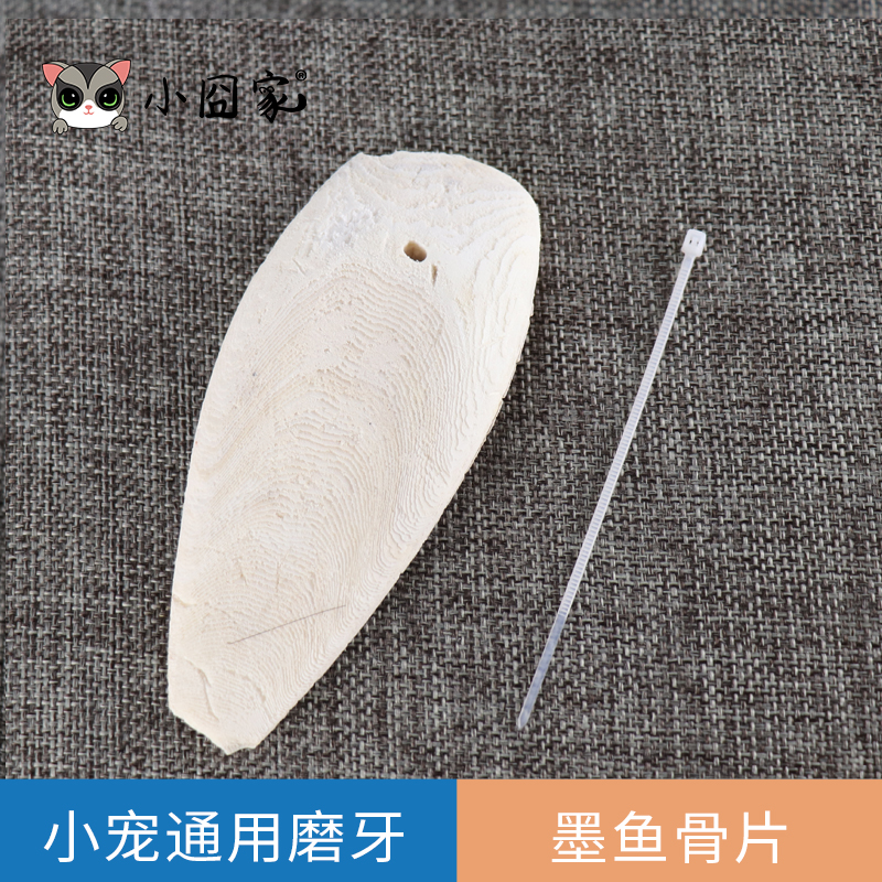 松鼠仓鼠蜜袋鼯磨牙墨鱼骨