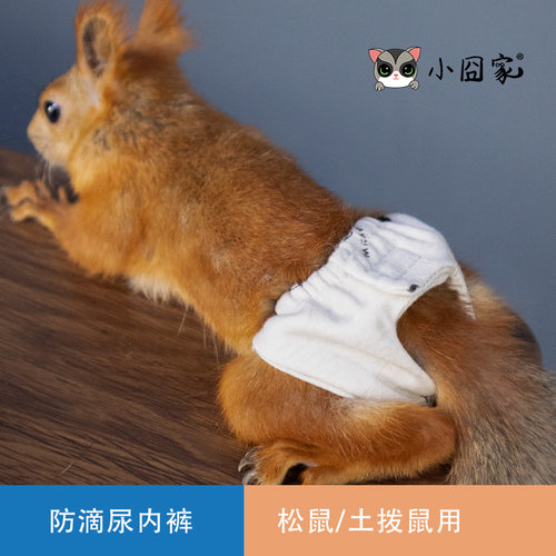 松鼠土拨鼠防滴尿布训练衣服