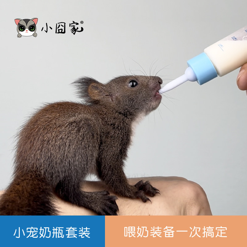 松鼠奶瓶奶嘴刺猬蜜袋鼯仓鼠飞鼠喂奶器外带水壶喂药器宠物用品