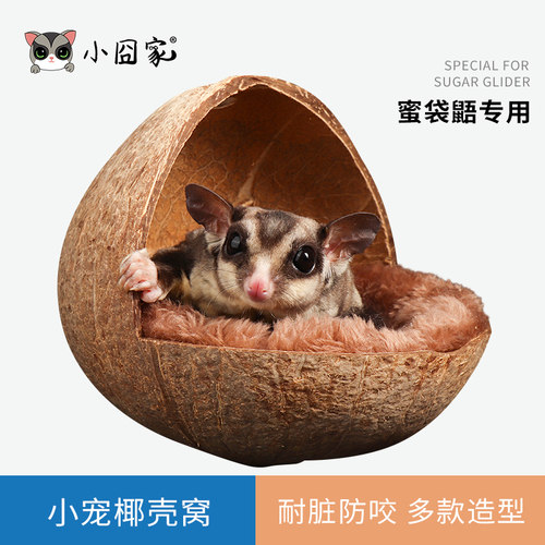 蜜袋鼯椰子壳窝直角窝可固定透气