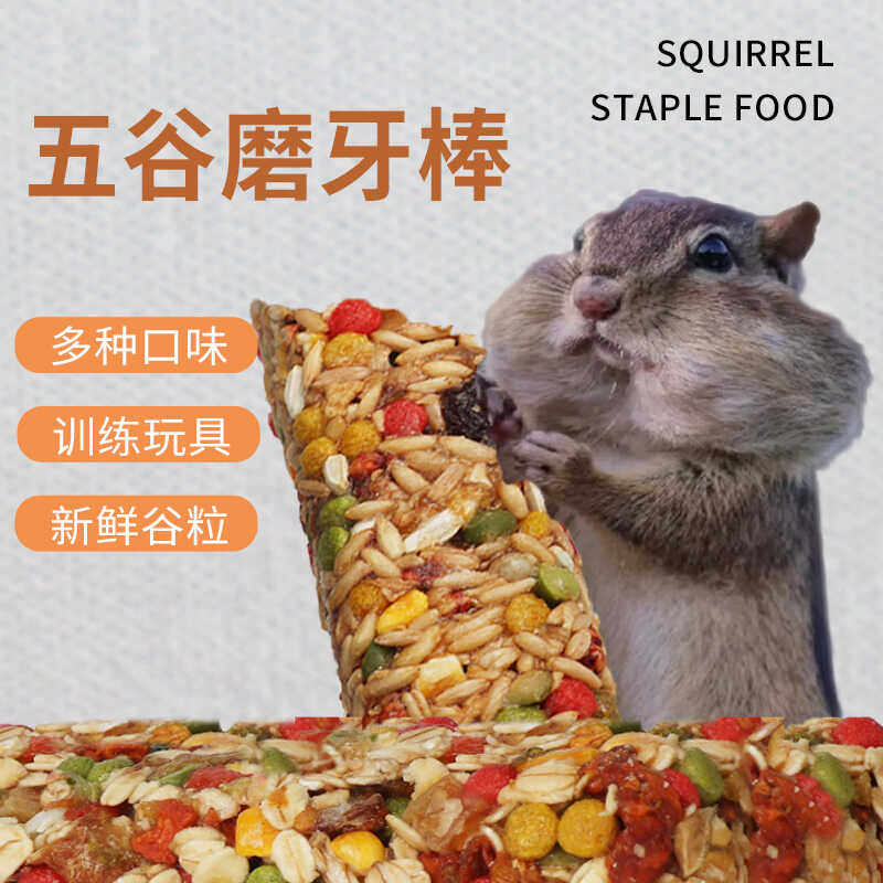 松鼠磨牙棒粮食五谷主粮营养零食仓鼠花枝鼠鹦鹉磨牙用品造景玩具,宠物/宠物食品及用品,鼠粮,淘宝优惠券,粉丝福利购,淘宝优惠卷