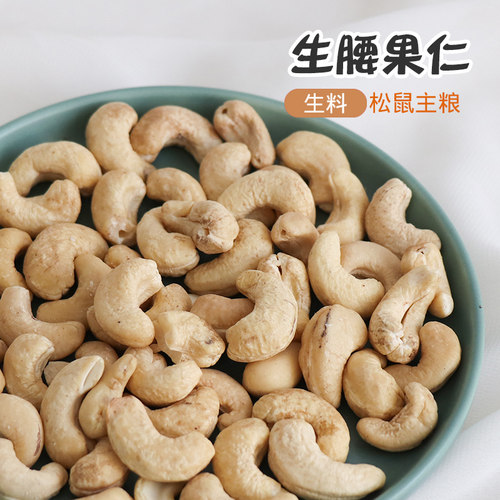 松鼠花枝鼠仓鼠零食主食腰果