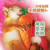 蜜袋鼯荷兰猪仓鼠松鼠大眼飞鼠 窝内用品啃咬磨牙毛绒胡萝卜玩具