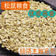 松鼠粮食生燕麦片磨牙零食飞鼠吃 食物用品燕麦片未加工燕麦100g
