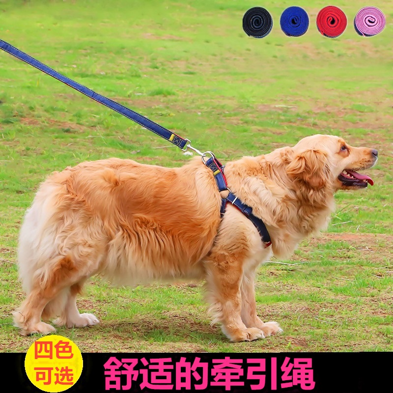 狗狗牵引绳 耐磨牛仔缝布  宠物用品 泰迪 遛训练绳子 中小型犬用