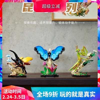 积木创意系列21342昆虫蝴蝶