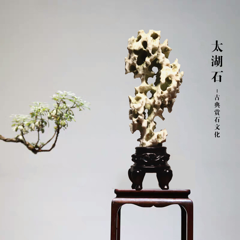 景观石客厅太湖石天然原石中式
