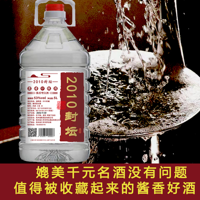 手艺人酒高度酒2010封坛纯粮酒酱香型白酒53度口粮酒散装坤沙泡酒