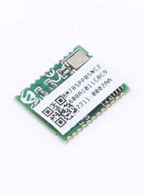 BM78SPP05NC2-0002AA 蓝牙模块 BM78SPP05NC2-0002AA SMD-30P