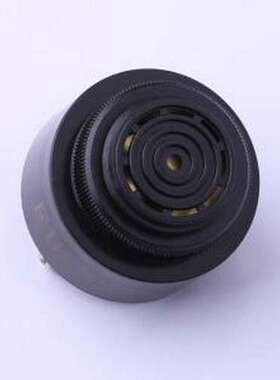FSD-4310P-24V 蜂鸣器 压电式24V 2900HZ 螺栓,D=43mm