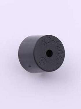 HY1205GP 2400HZ 蜂鸣器 无源蜂鸣器 DIP